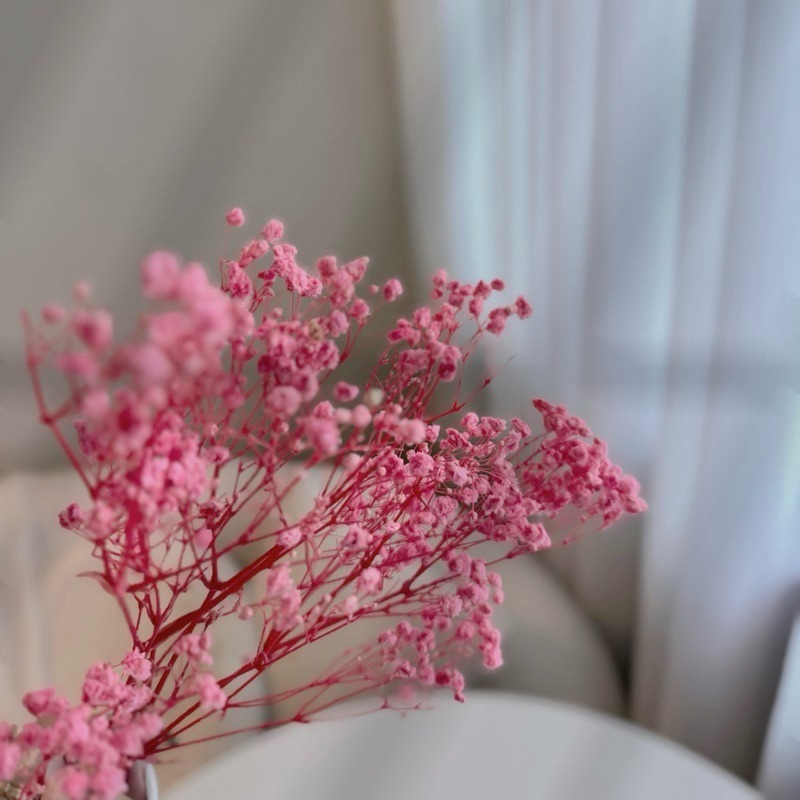 ❤︎台灣現貨❤︎天然乾燥花滿天星 永生花 送禮花束 畢業花束 生日禮物居家擺設「有感選物」-規格圖9