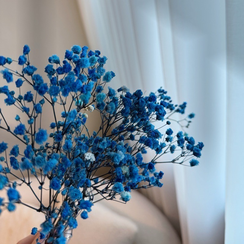 ❤︎台灣現貨❤︎天然乾燥花滿天星 永生花 送禮花束 畢業花束 生日禮物居家擺設「有感選物」-規格圖9