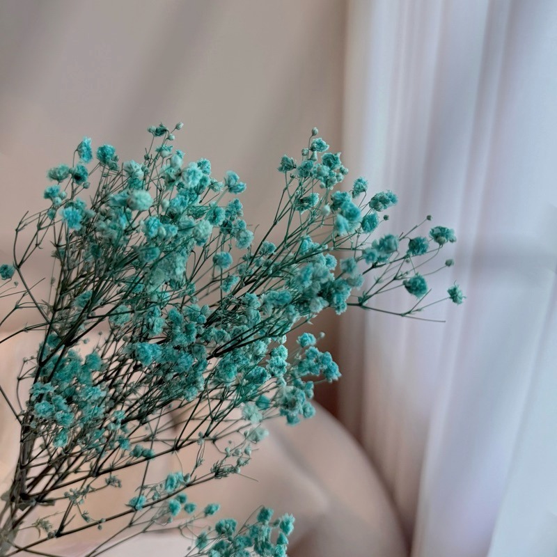 乾燥花-帝芬尼綠