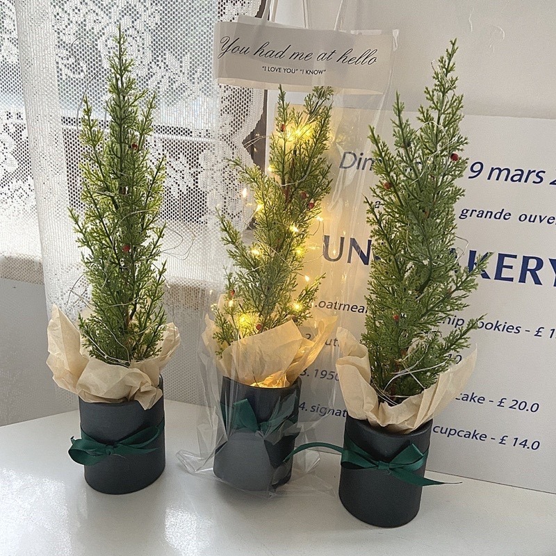 台灣現貨❤︎迷你桌上聖誕樹 小聖誕樹 聖誕節裝飾 聖誕盆栽 聖誕禮物「有感選物」-細節圖2
