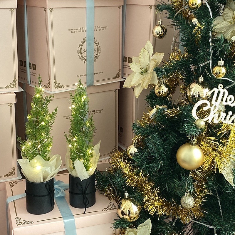 台灣現貨❤︎迷你桌上聖誕樹 小聖誕樹 聖誕節裝飾 聖誕盆栽 聖誕禮物「有感選物」-細節圖5