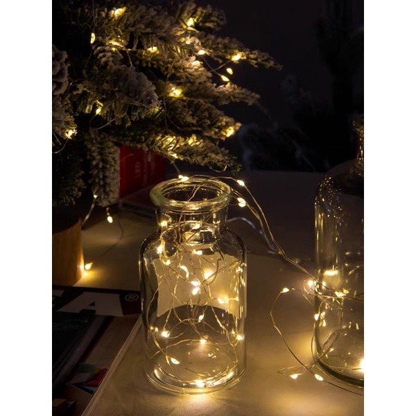 螢火蟲燈-10米（可閃爍）(電池）