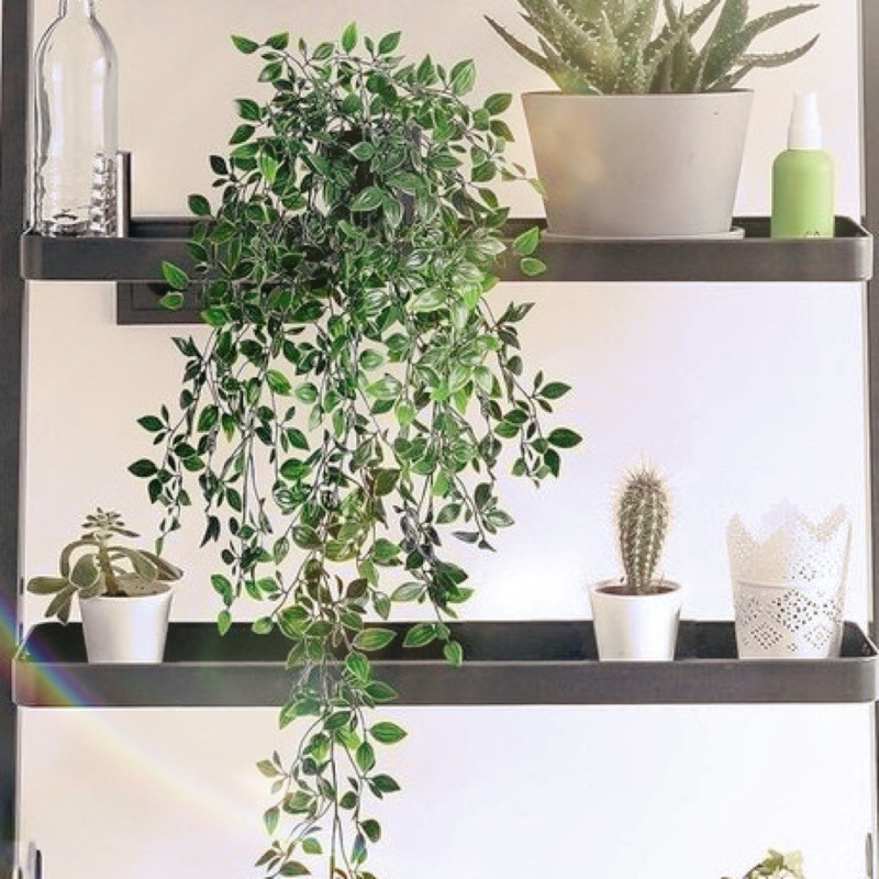 有感選物❤︎台灣現貨 仿真垂釣綠植藤蔓盆栽 仿真壁掛植物盆栽 婚禮佈置 居家佈置工作-細節圖4