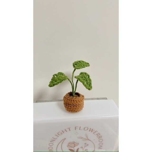 $199 針織小盆栽系列-細節圖6