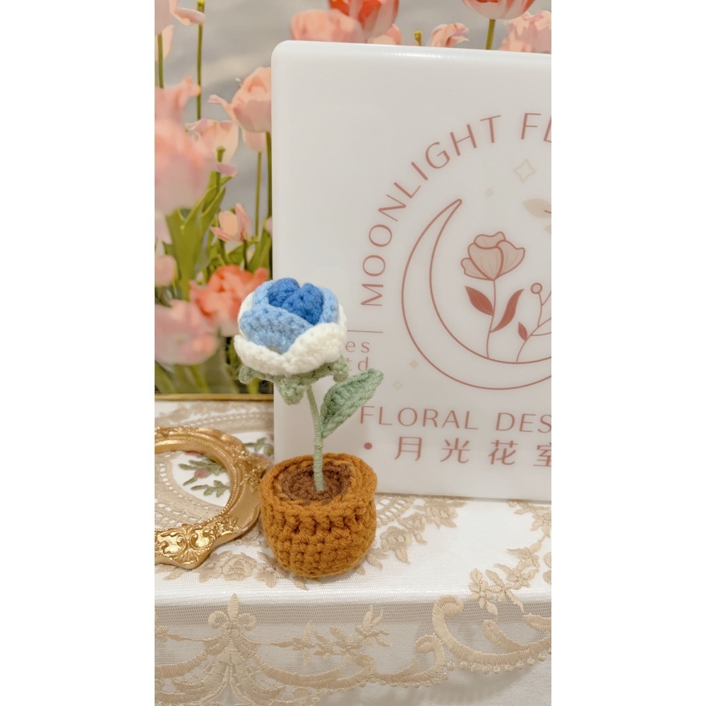 $199 針織小盆栽系列-規格圖7