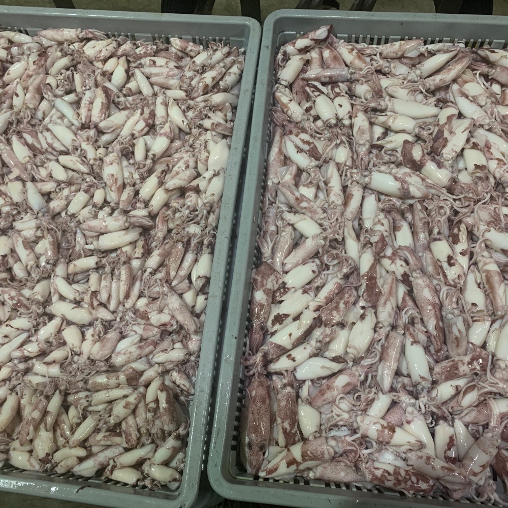 澎湖熟小卷300公克-細節圖2