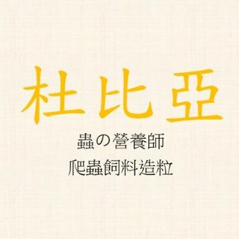 度比亞顆粒飼料 爬蟲飼料 蟋蟀 守宮吃什麼 守宮 變色龍-細節圖3