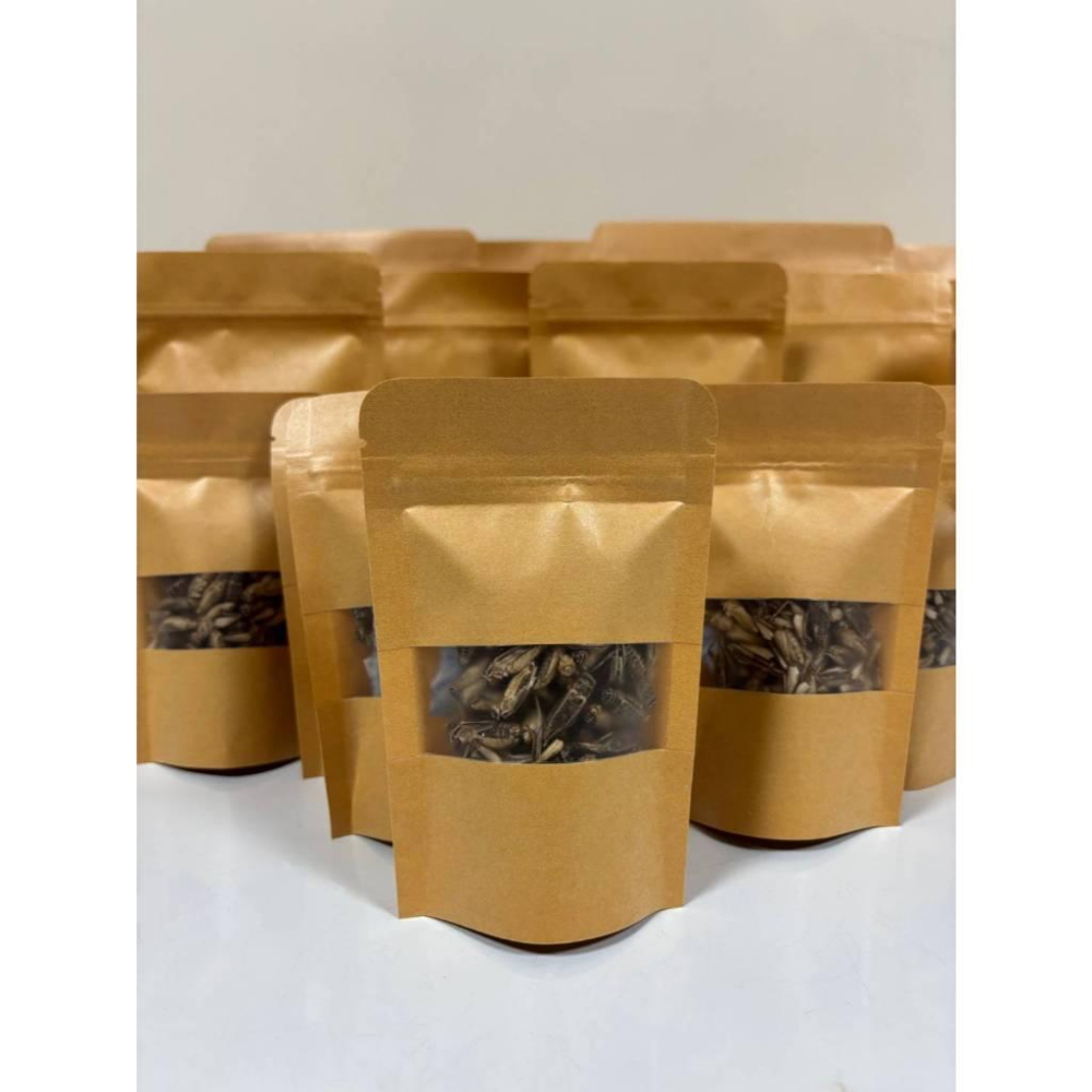 度比亞顆粒飼料 爬蟲飼料 蟋蟀 守宮吃什麼 守宮 變色龍-細節圖4