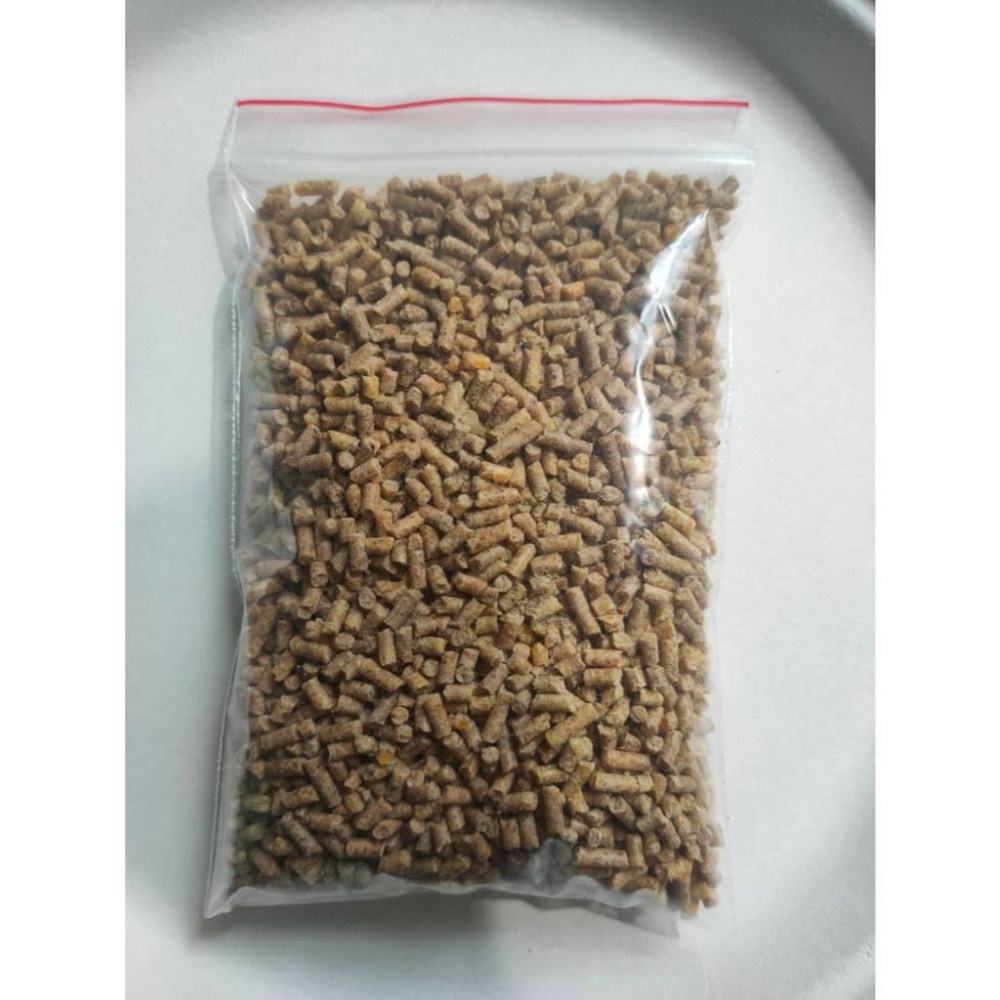 度比亞顆粒飼料 爬蟲飼料 蟋蟀 守宮吃什麼 守宮 變色龍-細節圖5