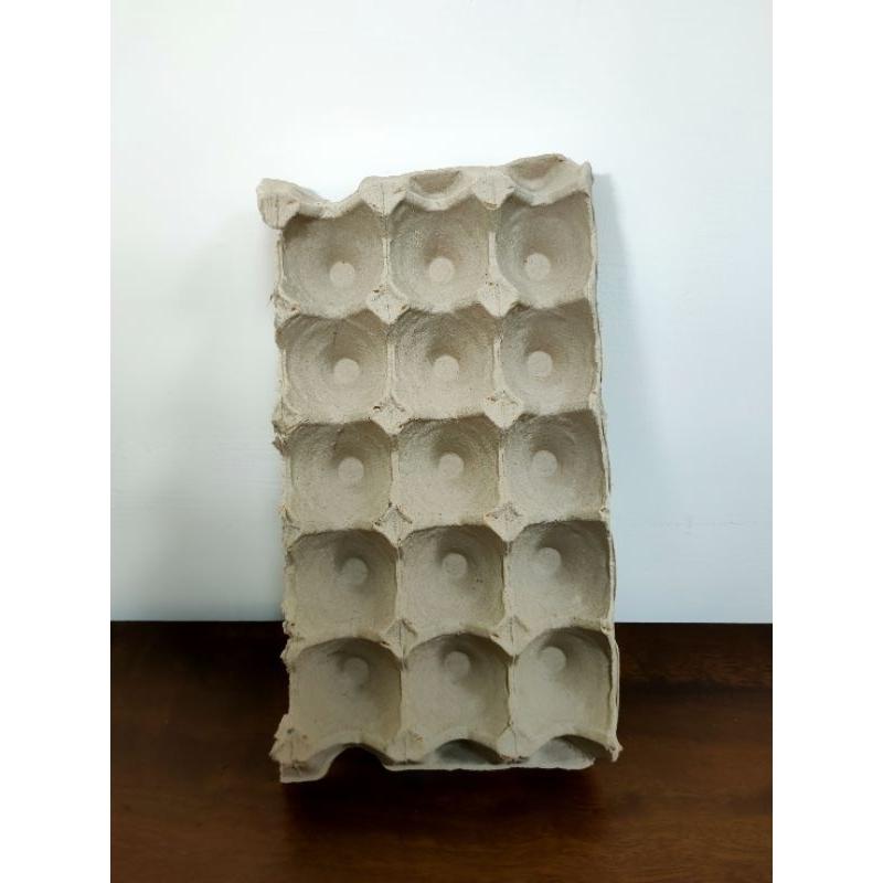 紙蛋盤  全新 昆蟲飼養 紙蛋盒 杜比亞 櫻桃紅璋 黃金-細節圖2