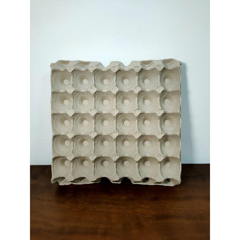 紙蛋盤  全新 昆蟲飼養 紙蛋盒 杜比亞 櫻桃紅璋 黃金-細節圖3