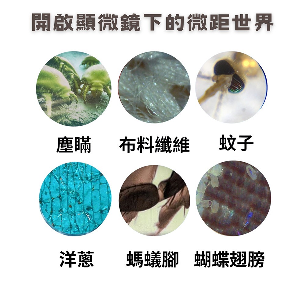 LORO選物✅STEAM探索系列 LJ兒童顯微鏡相機-細節圖3