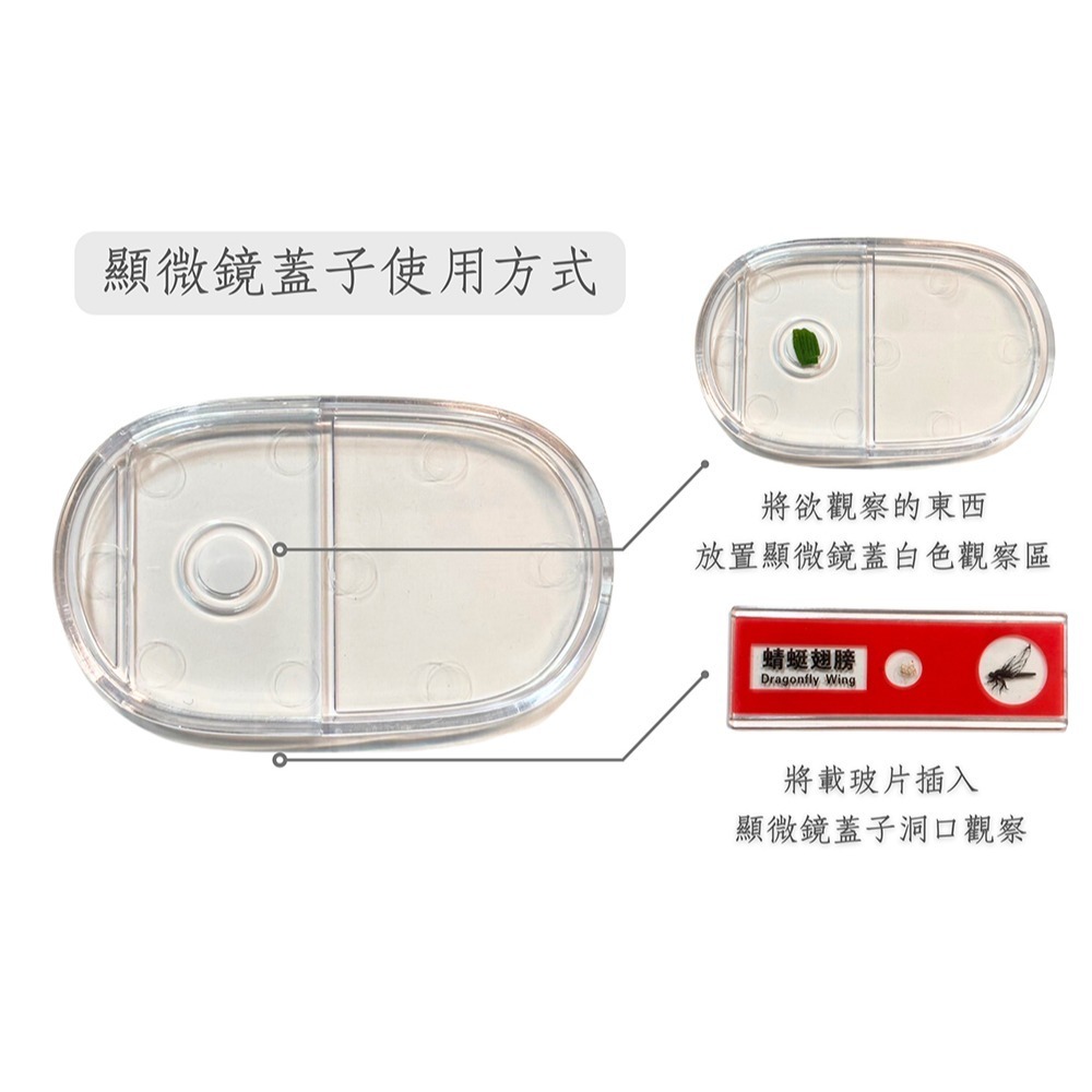 現貨✅STEAM探索系列 LJ兒童顯微鏡相機-細節圖7