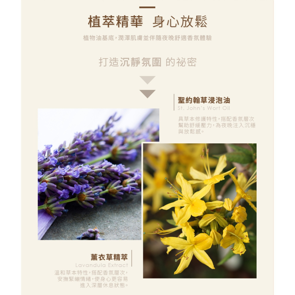 台灣AUROS✅森夜舒眠按摩油-暮夜木25g 光子天使-細節圖3