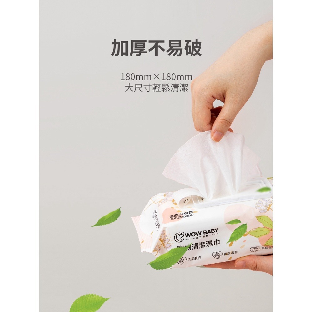 JPC 汪汪寶貝寵物清潔濕紙巾(80抽/包)_犬貓適用 加厚 加大尺寸 高含水量 植物萃取 寵物濕紙巾 寵物濕巾-細節圖3