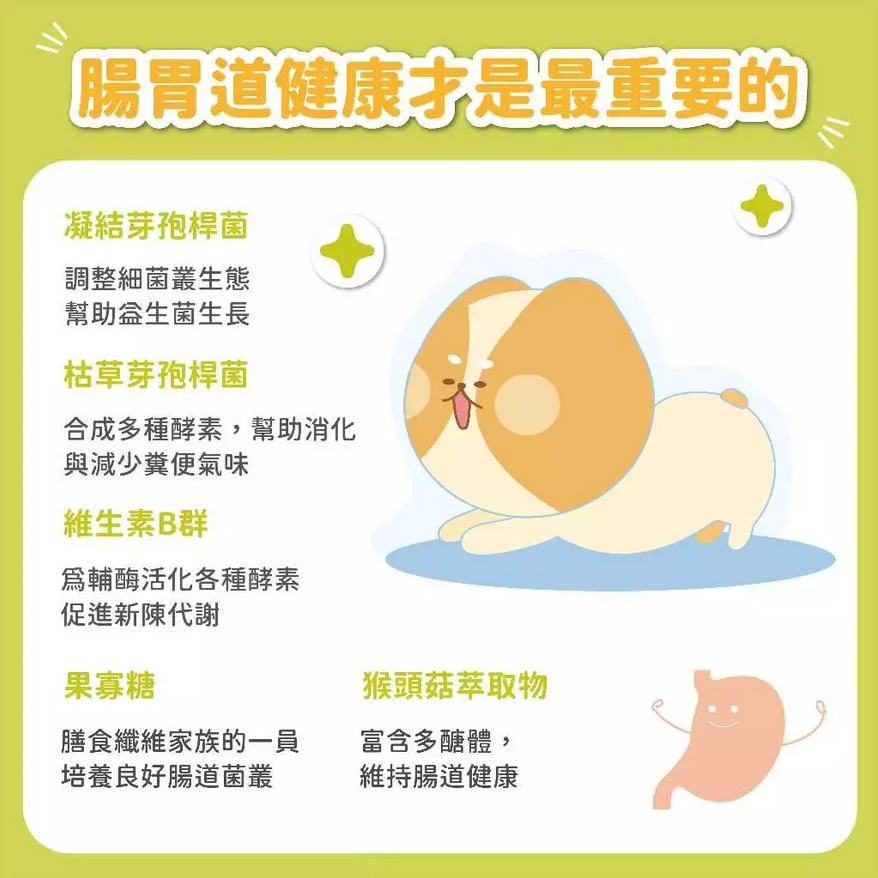 JPC SINGEN 信元發育寶 (犬用)整腸配方 腸胃保健益生菌(CP2)-350g/罐 狗狗益生菌 狗狗保健食品-細節圖4