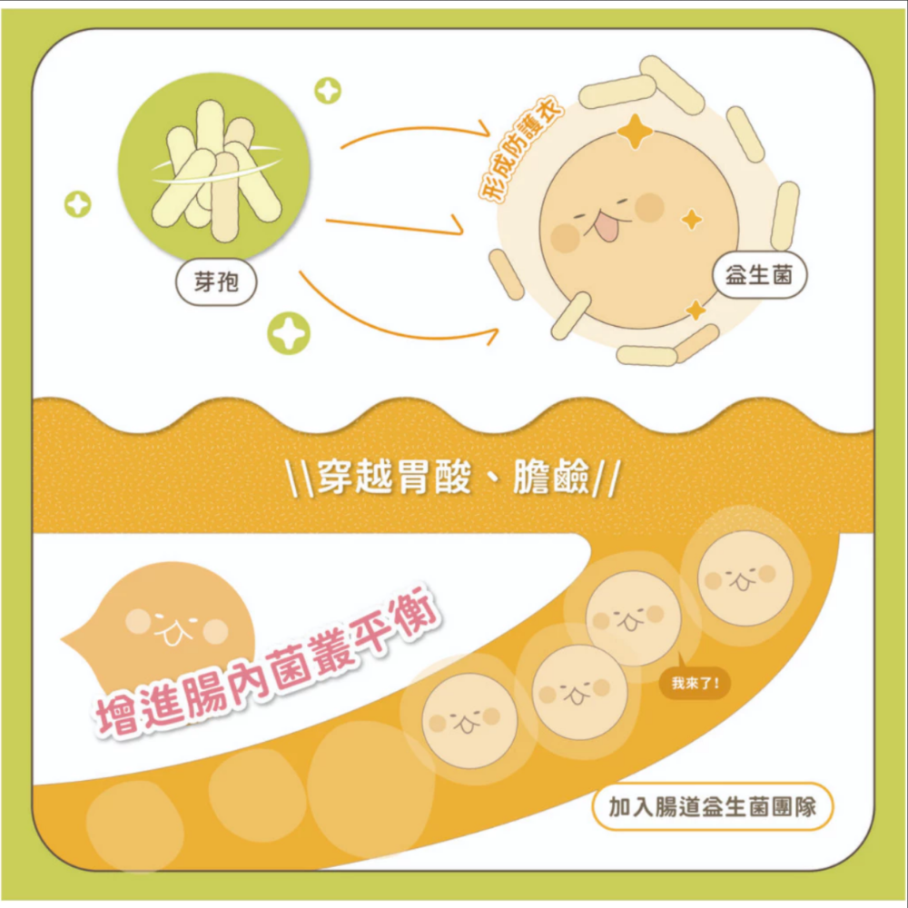 JPC SINGEN 信元發育寶 (犬用)整腸配方 腸胃保健益生菌(CP2)-350g/罐 狗狗益生菌 狗狗保健食品-細節圖6