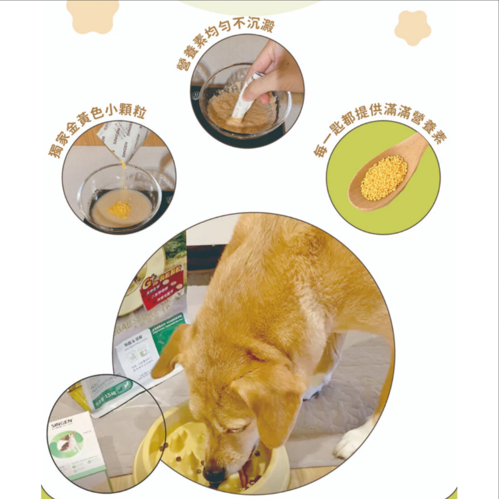 JPC SINGEN 信元發育寶 (犬用)整腸配方 腸胃保健益生菌(CP2)-350g/罐 狗狗益生菌 狗狗保健食品-細節圖9
