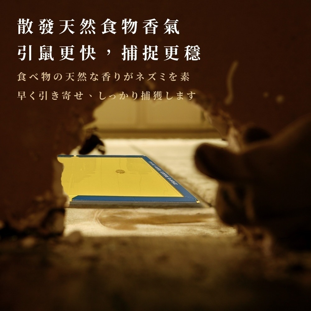 黏鼠板【小閨祕】滅鼠 捕鼠 捕鼠板 粘鼠板-細節圖2