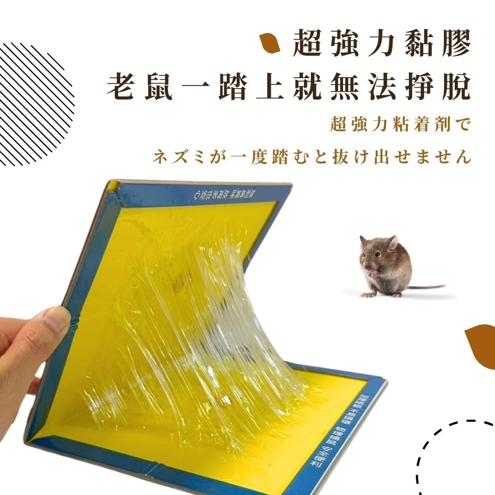 黏鼠板【小閨祕】滅鼠 捕鼠 捕鼠板 粘鼠板-細節圖5