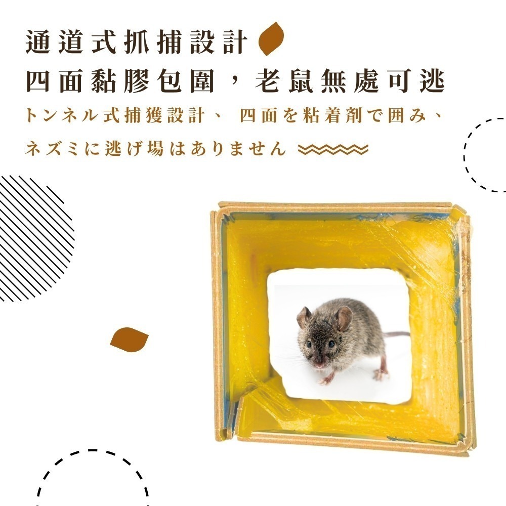 黏鼠板【小閨祕】滅鼠 捕鼠 捕鼠板 粘鼠板-細節圖6
