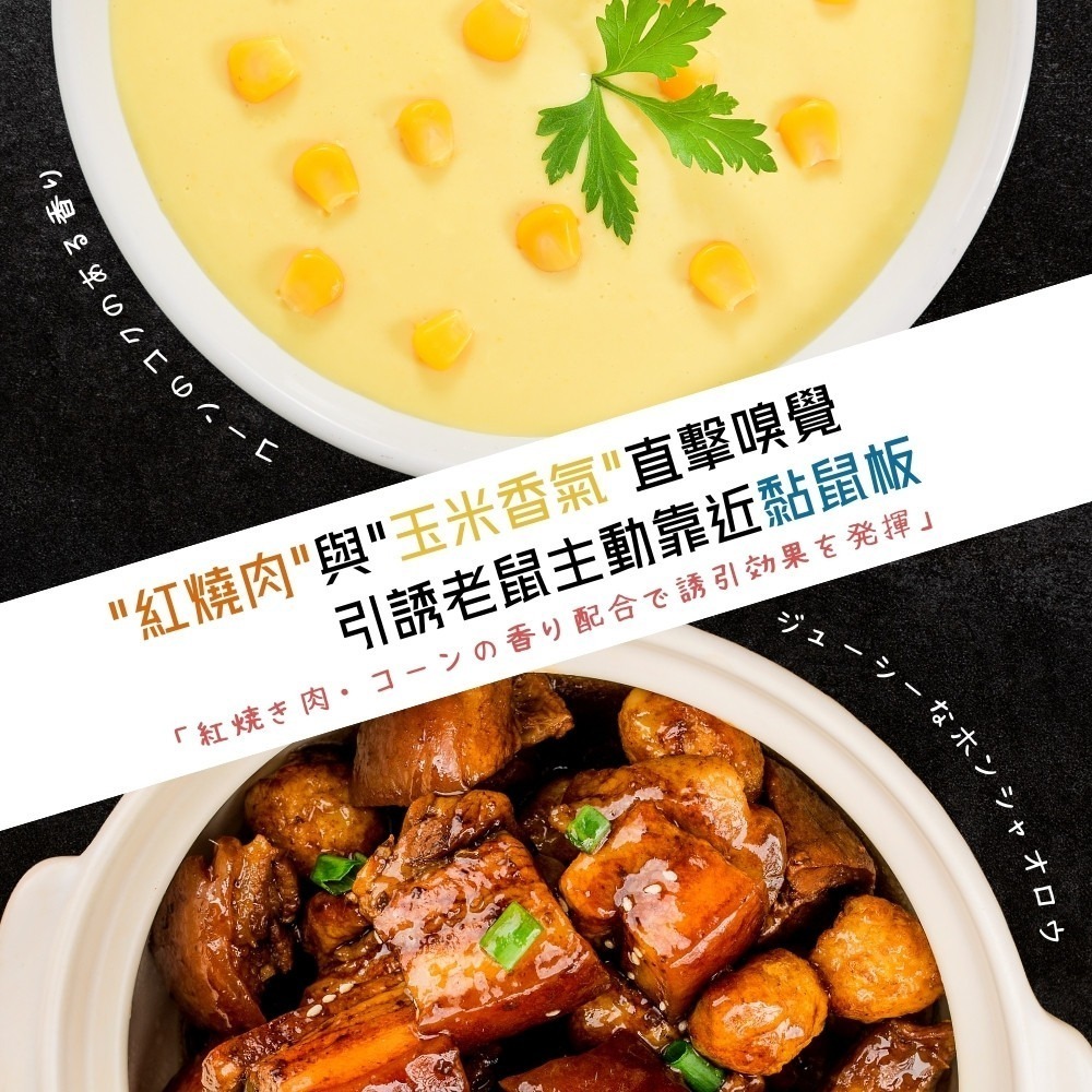 黏鼠板【小閨祕】滅鼠 捕鼠 捕鼠板 粘鼠板-細節圖8