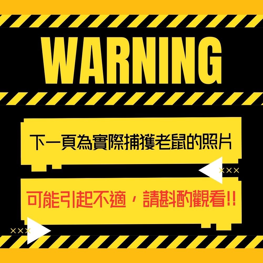 黏鼠板【小閨祕】滅鼠 捕鼠 捕鼠板 粘鼠板-細節圖10
