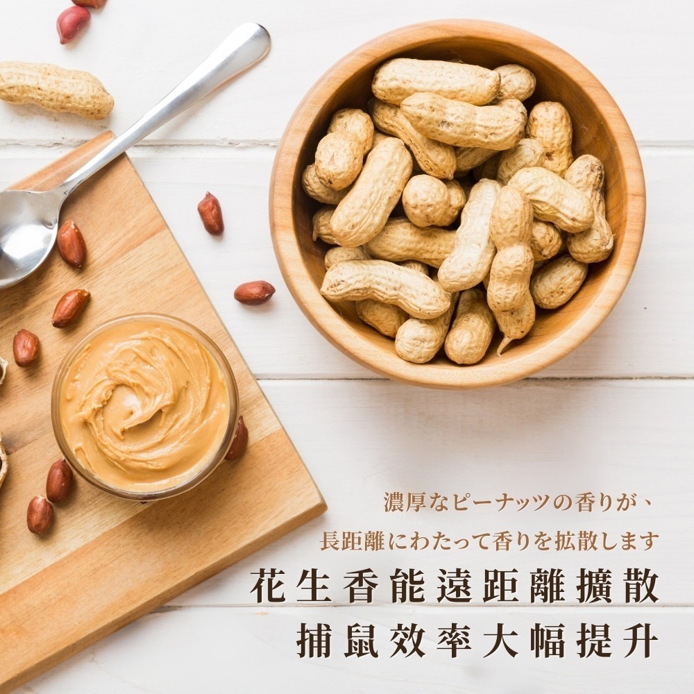黏鼠板【小閨祕】滅鼠 捕鼠 捕鼠板 粘鼠板-細節圖3