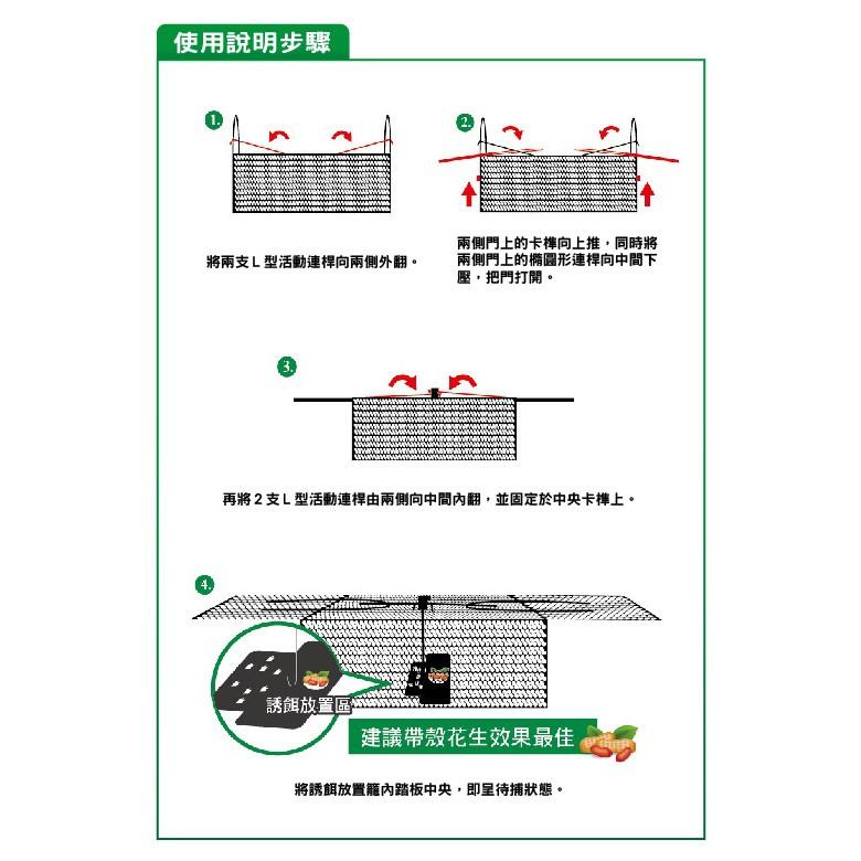 雙門踏板專利捕鼠籠 2入【小閨祕】老鼠籠 捕鼠器 捕鼠籠 滅鼠 抓老鼠-細節圖2