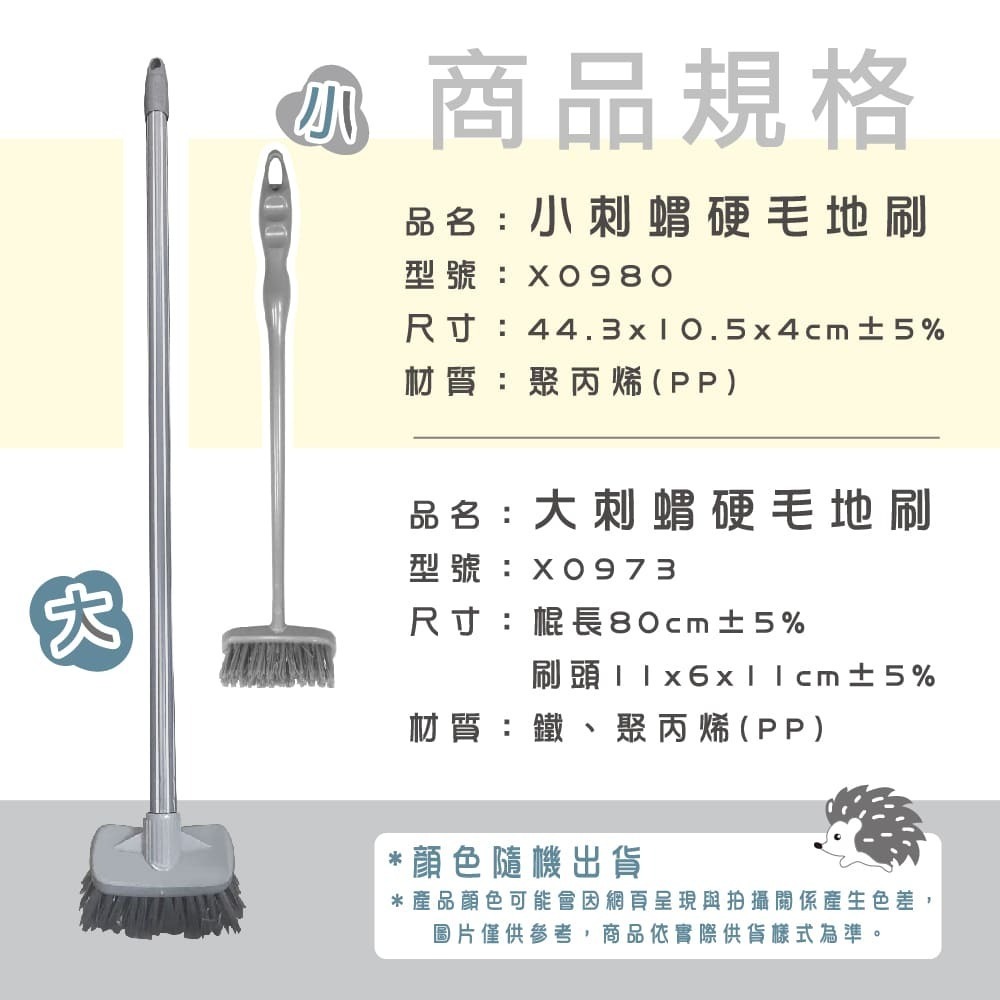 刺蝟硬毛地刷【小閨祕】地板刷 清潔刷  浴廁刷 硬毛刷 清潔工具 刷地工具-細節圖4