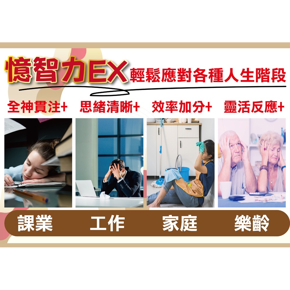 東華堂 憶智力EX 聰穎對策500mgx30顆/盒-細節圖5