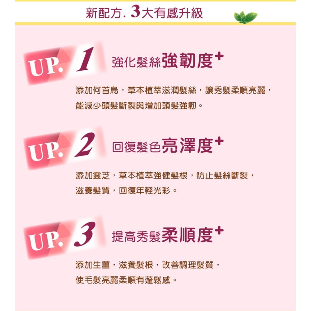 夢17 泡泡染髮乳20mlx10包*1(任選)【贈】染前頭皮隔離液20ml*2+大倉美記 袋鼠花修護洗髮精500ml*1-細節圖2