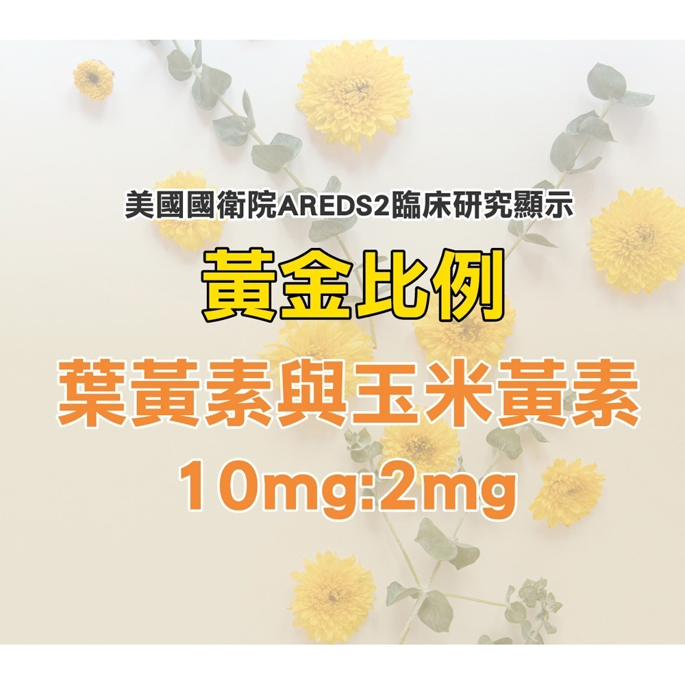 默根 游離型葉黃素膠囊500mgX60顆*1 【贈】威客維 威而潤PLUS智利酒果粉包2gx30包*1-細節圖2