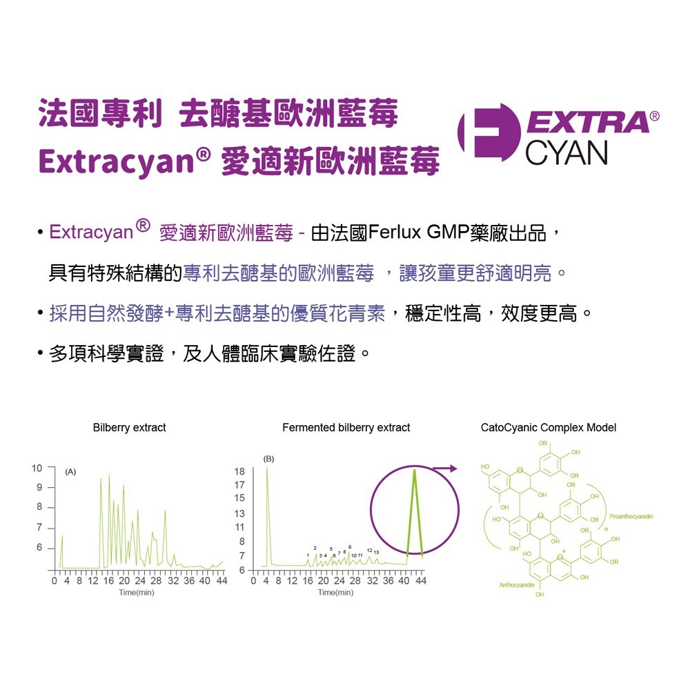 威客維 護晶明咀嚼錠30錠*1【贈】彩花蜜 台灣嚴選玉荷包蜂蜜 350g*1-細節圖6