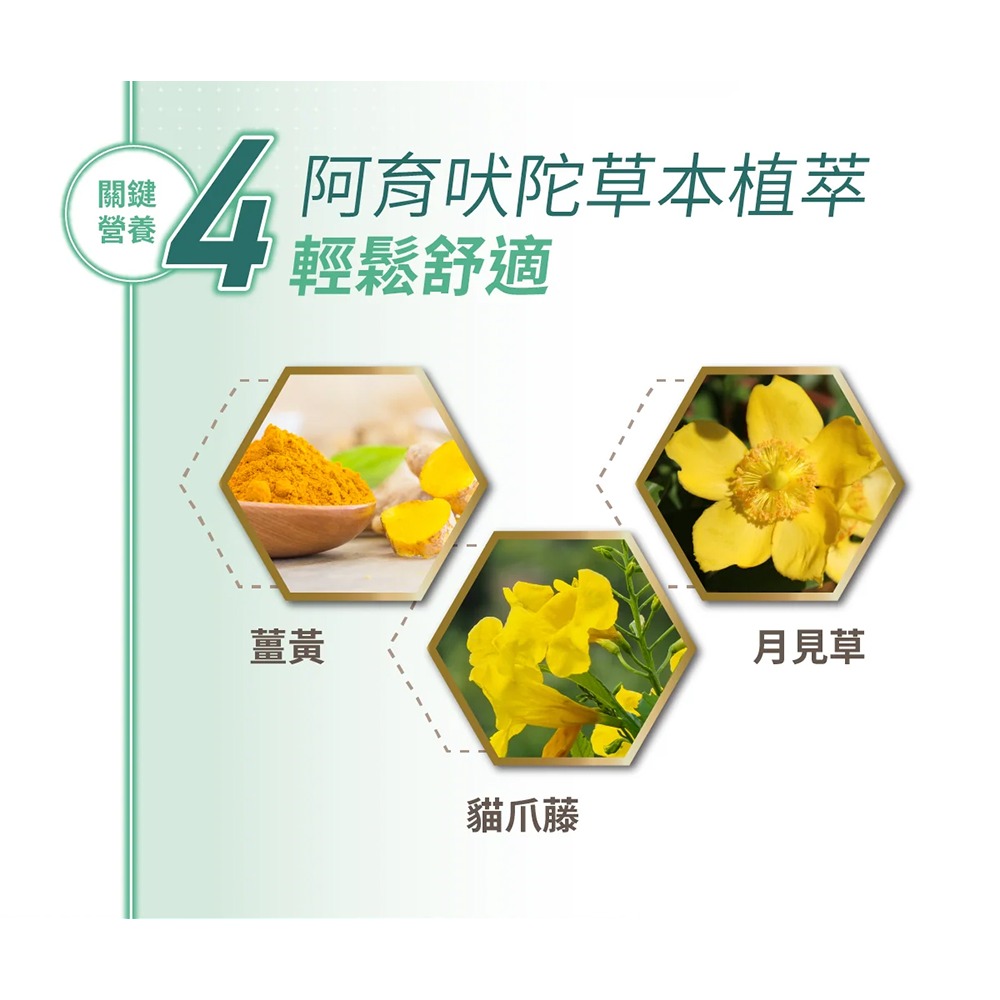 鴻參 花旗蔘龜鹿雙效關鍵飲22mlx10入*1【贈】SPEED S.科技石墨烯碘抗菌能量護足襪*1雙(顏色隨機/款式任選-細節圖7