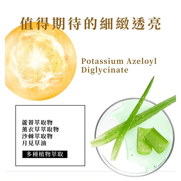 Spotlite思白麗 乳膏25g-細節圖4