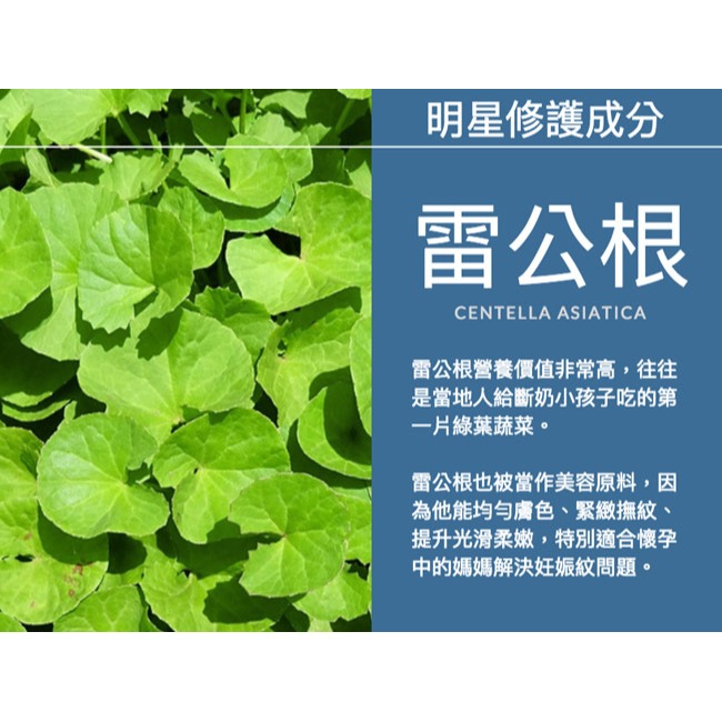 Mederma美德 草本緊緻撫紋霜150g-細節圖4