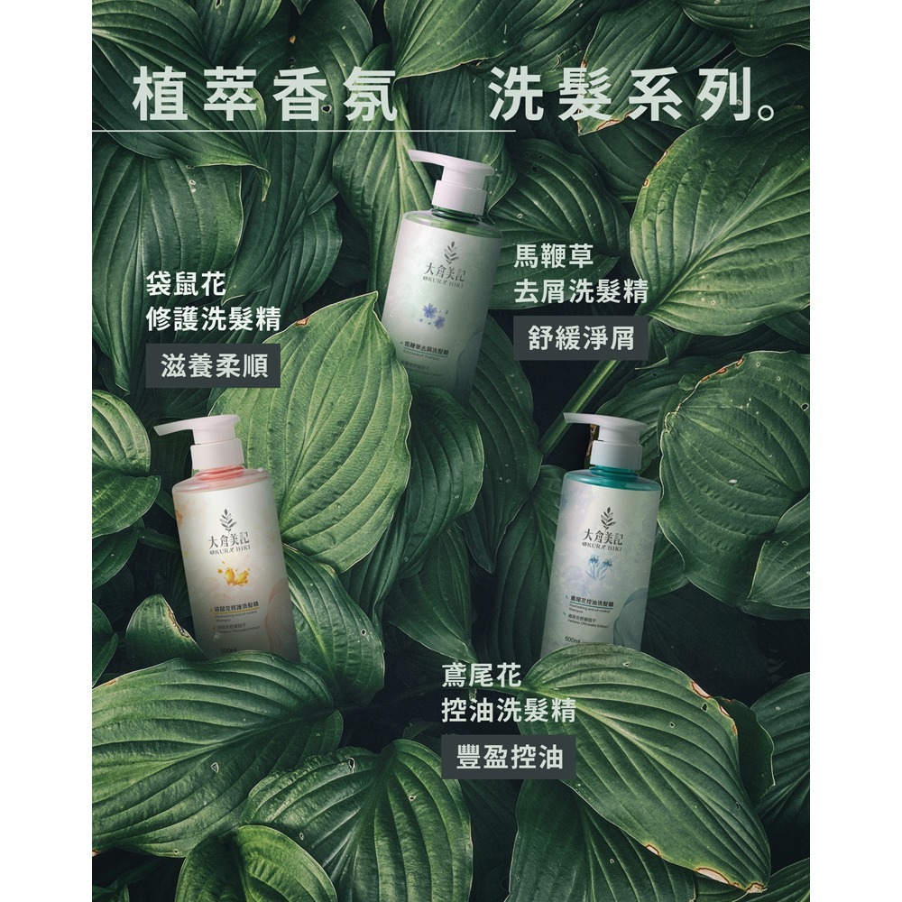 大倉美記 洗髮精500ml*1(款式任選)【贈】土耳其dalan 橄欖保濕滋養乳75ml*1-細節圖8