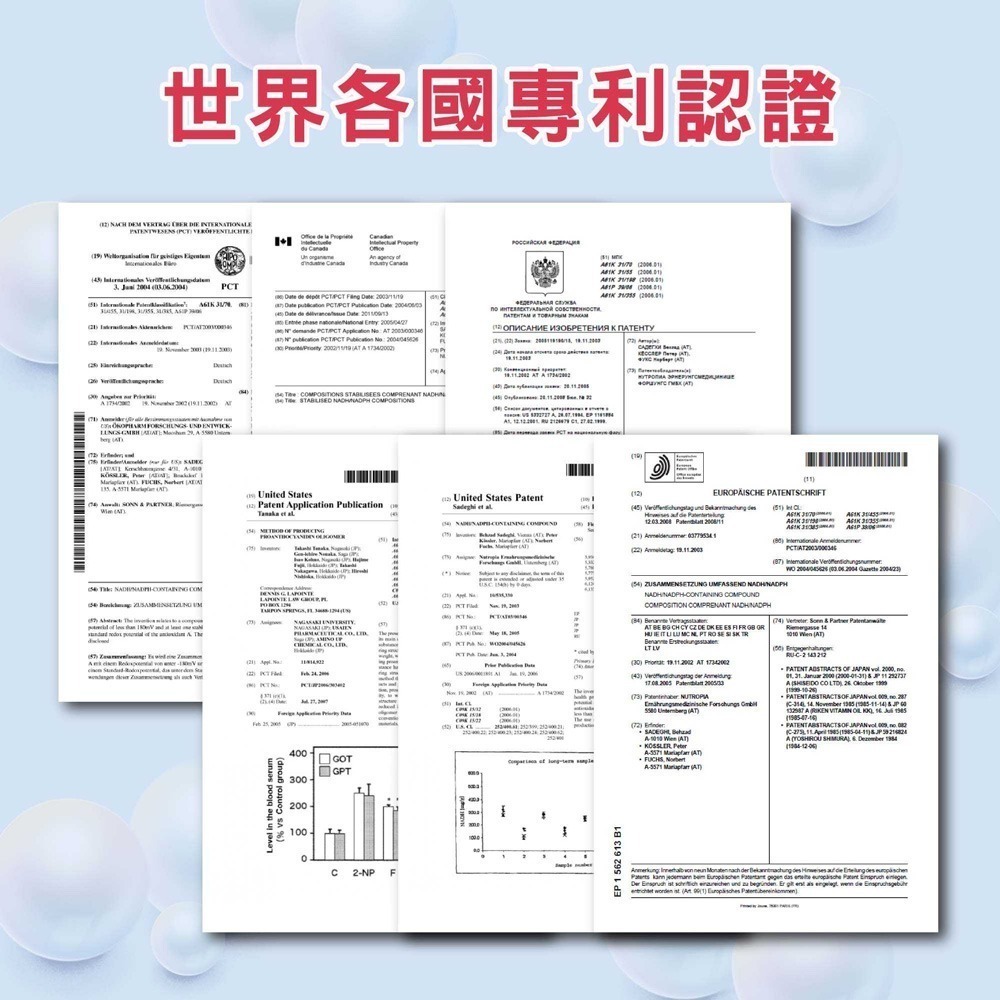 sunVenus 仙女咖啡2gx10包*4【贈】I=SURE 三點一刻 蛋白穀麥奶昔40g*4 (口味任選)-細節圖3