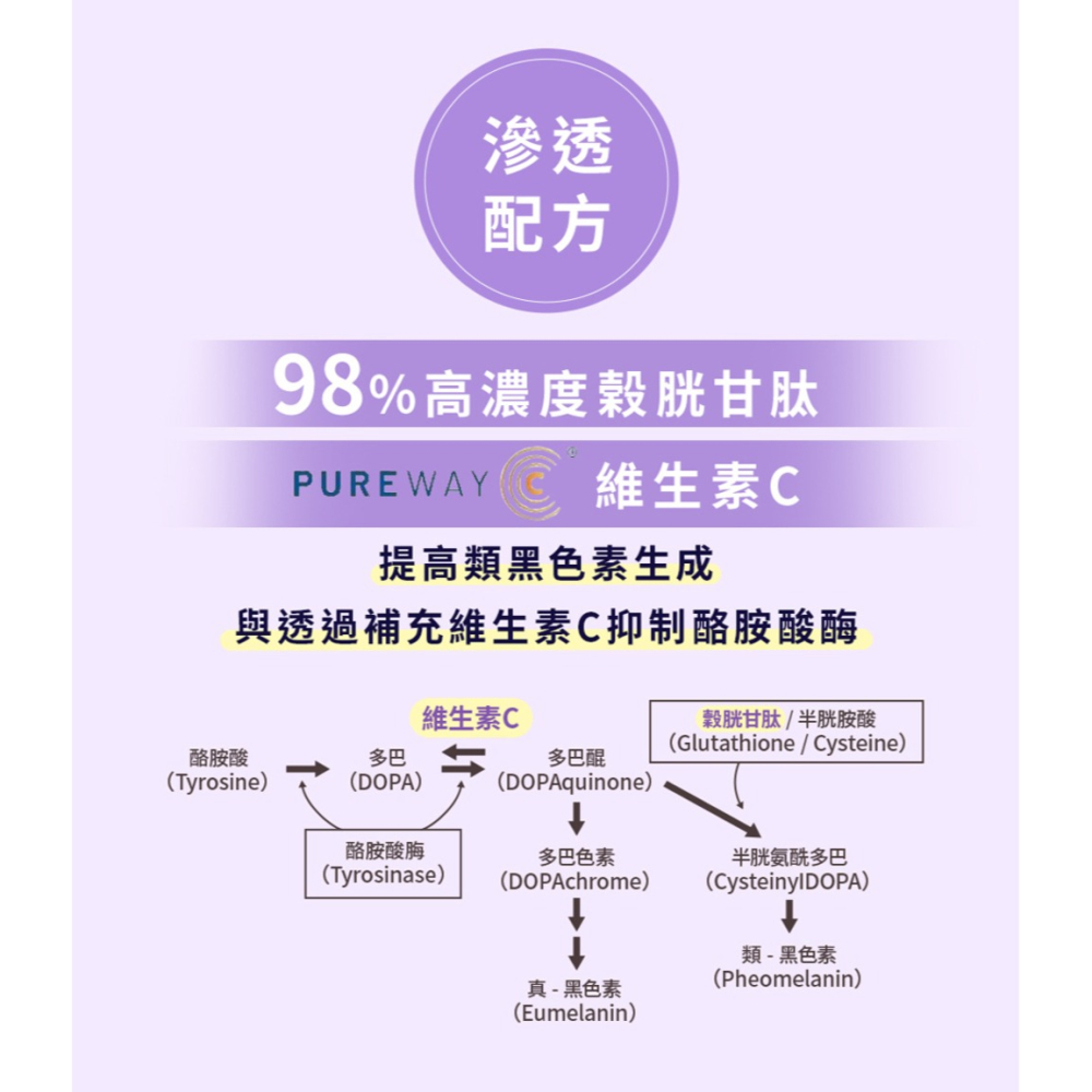 TIANYI天奕 添益皙30顆-細節圖6