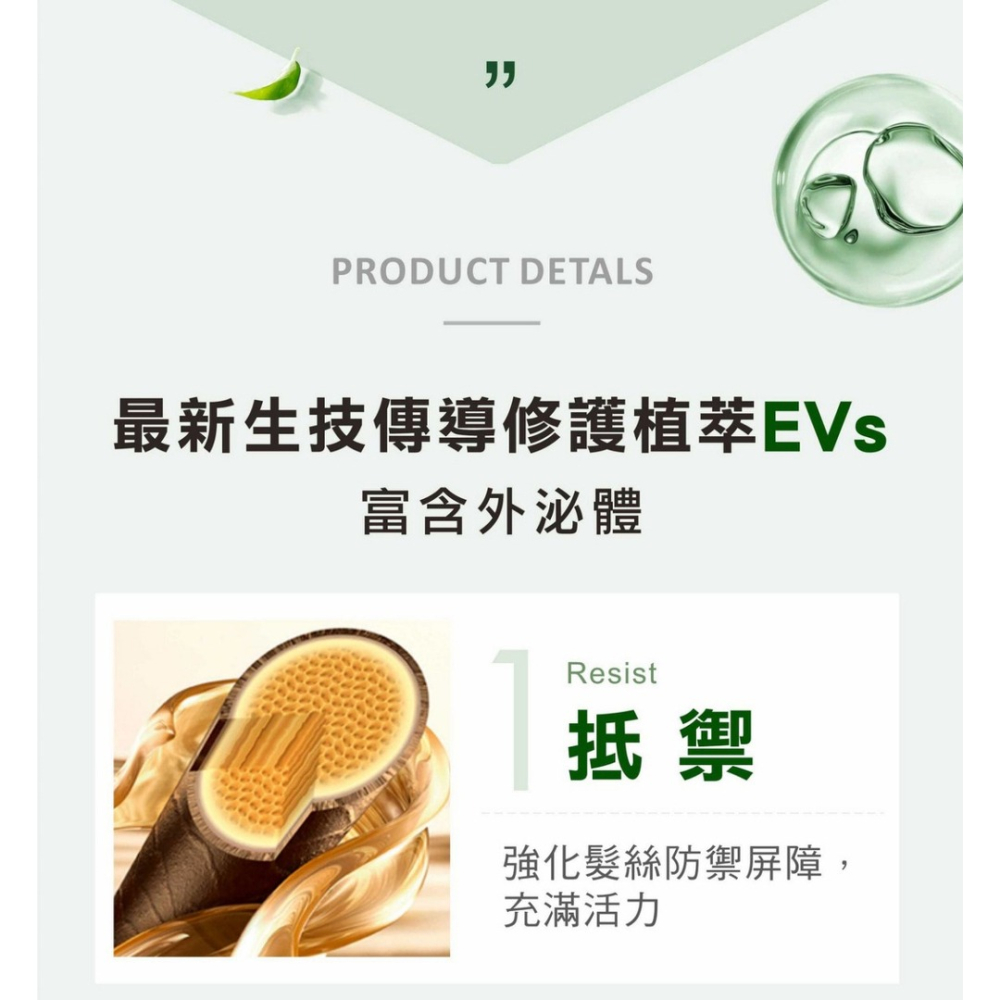 SOFEI舒妃 7玻水潤護髮霜800ml-細節圖2