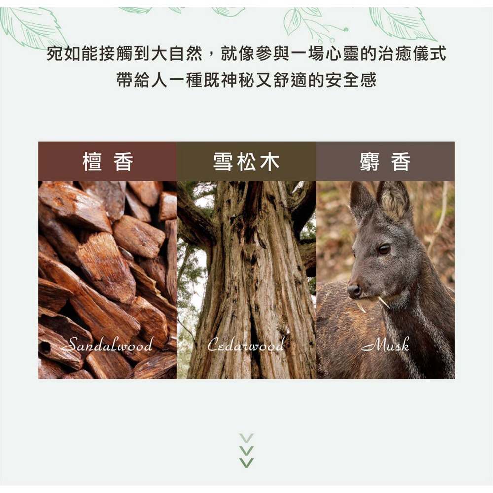 SOFEI舒妃 9黑嚴損護髮霜 800ml*1-細節圖8