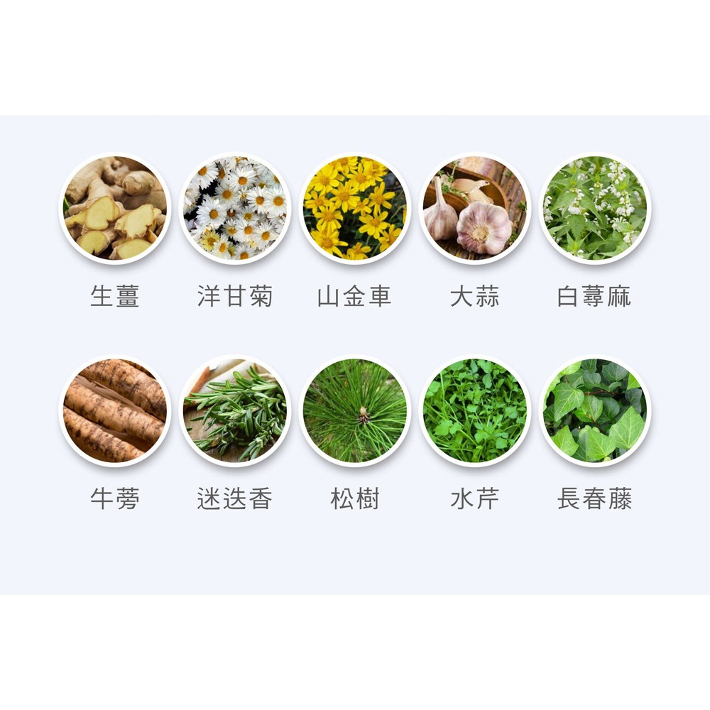 舒妃自然匯InNature清零角質淨化露120ml*1-細節圖9