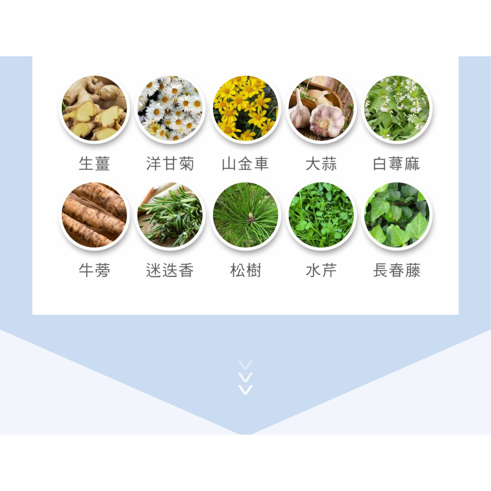 舒妃自然匯InNature清零屑抗屑洗髮精250ml*1-細節圖9