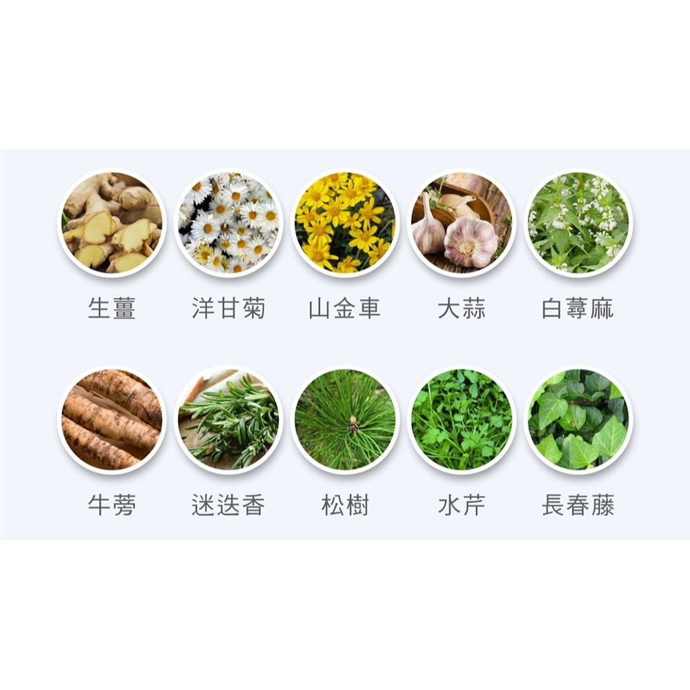 舒妃自然匯InNature清零修護髮膜300ml*1-細節圖9