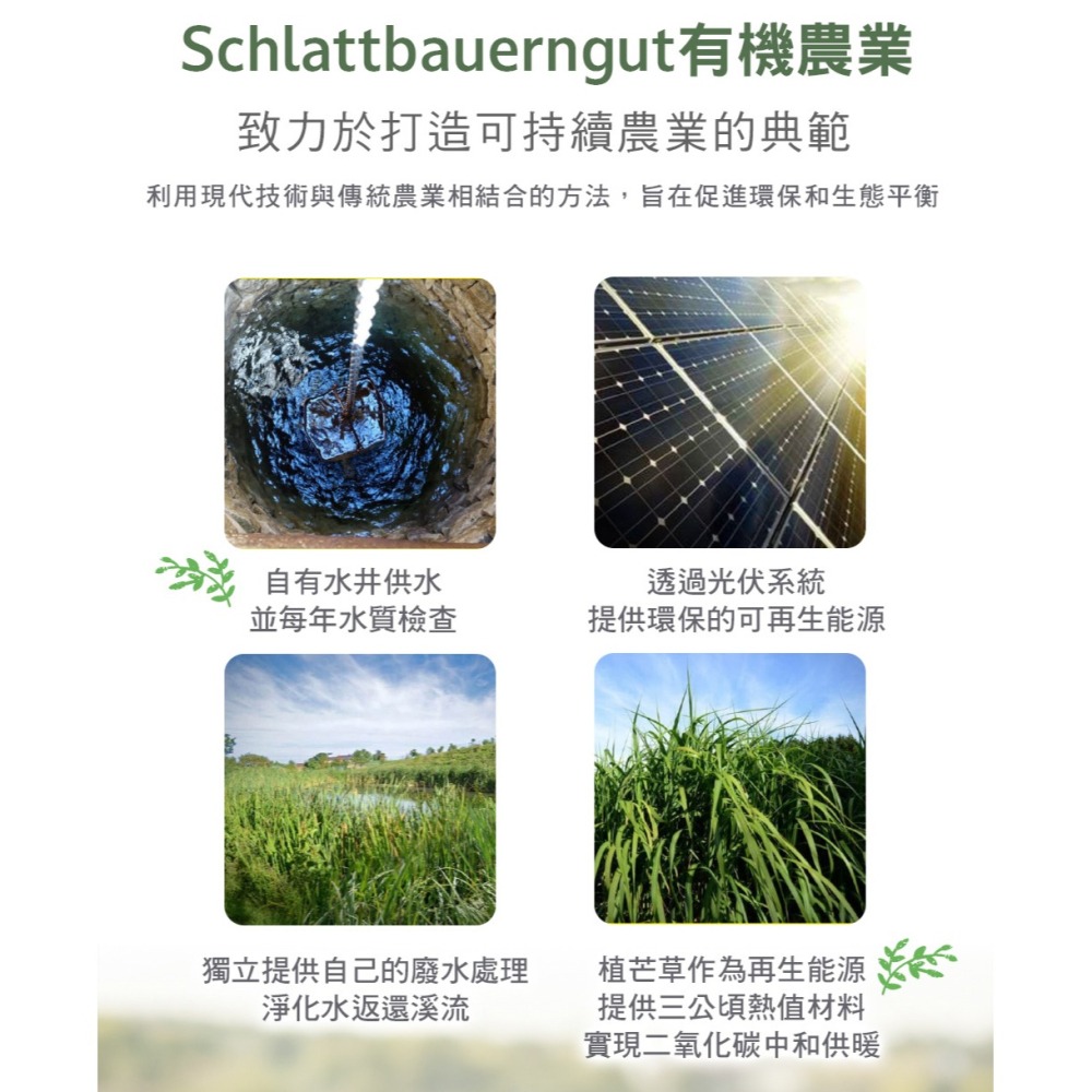 東華堂 療廢速 PLUS草本清潤複方600mgx30顆*1【贈】久保雅司 黑種草紫蘇油軟膠囊350mgx30顆*1-細節圖8