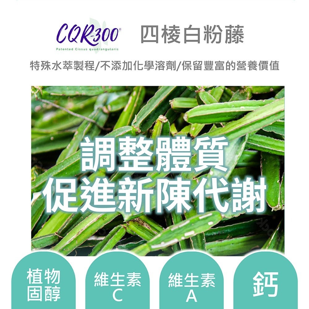 ZENSO KURO SHUGA 輕盈卡甜錠1gx60錠*1【贈】KHDr.蘋果柑橘果膠15g*30包*2-細節圖5