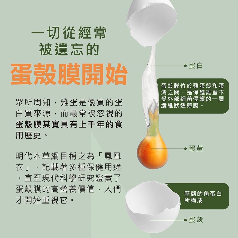 MOVEON 靈活飲25mlx16入*1 效期2026.9.30【贈】東華堂 超能EX PLUS關鍵靈活胜肽飲*2-細節圖4