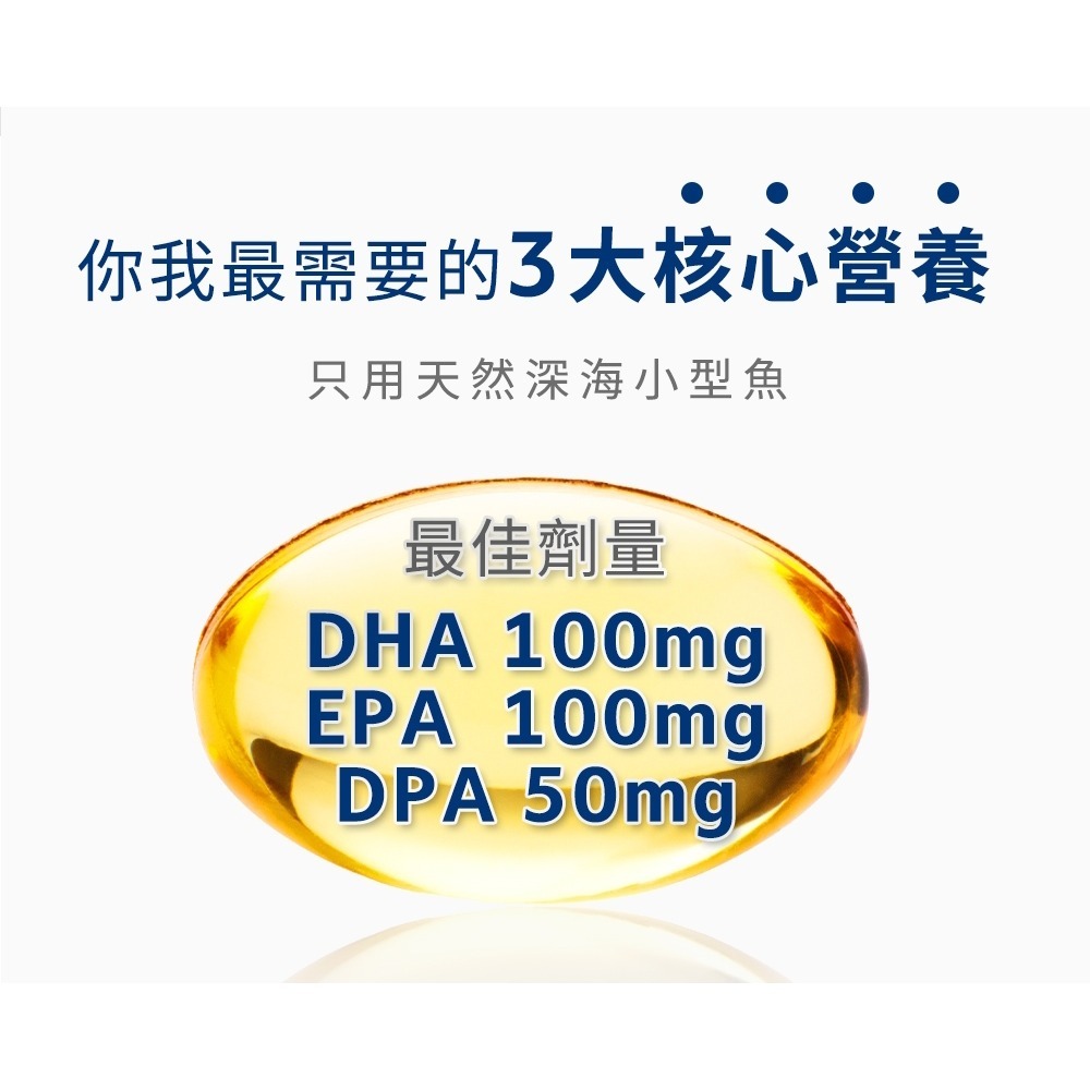 三五生技 三五膽鹼膠囊0.65gx60顆*2【贈】久保雅司 德國專利魚油王軟膠囊500mgx45粒*1-細節圖5