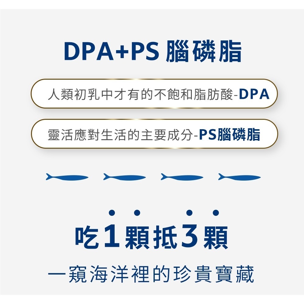 三五生技 三五膽鹼膠囊0.65gx60顆*2【贈】久保雅司 德國專利魚油王軟膠囊500mgx45粒*1-細節圖6